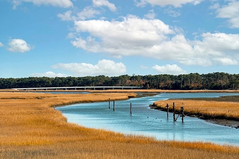 Waterfront cottage with a view of the wild Chincoteague ponies! in Chincoteague, Virginia, United States — photo 4