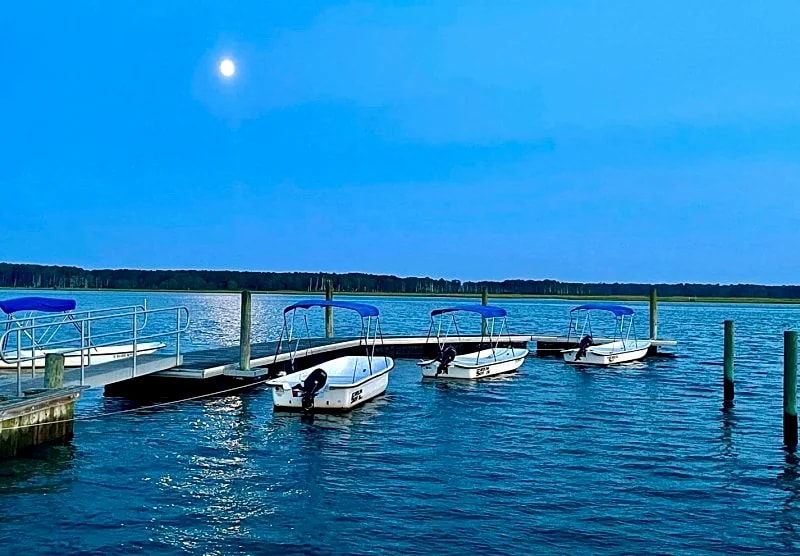 Waterfront cottage with the most peaceful view! in Chincoteague, Virginia, United States — photo 5