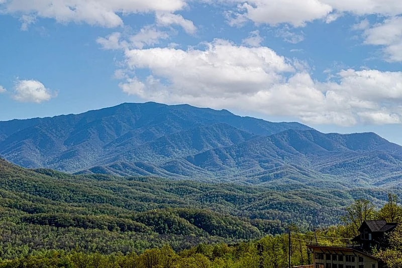 A Bear's Gatlinburg Plunge Cabin: Pool, Hot Tub, Games in Gatlinburg, Tennessee, United States — photo 4