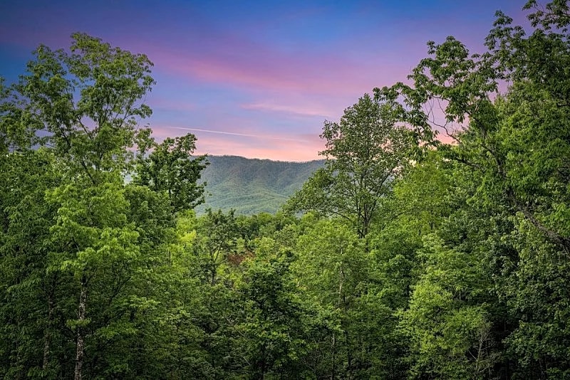 The Bear Shack Cabin w/ Views, Hot Tub & Upscale Finishes in Gatlinburg, Tennessee, United States — photo 5