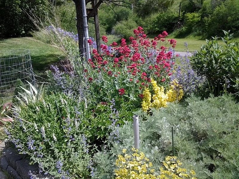Charming White Bird Home w/Mtn & Salmon River View in White Bird, Idaho, United States — photo 4