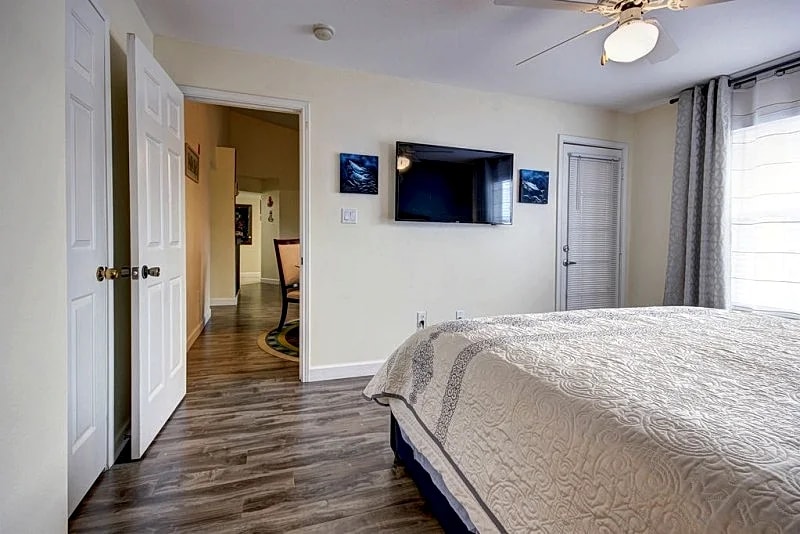 Avalon at Clearwater - Royal Marina - Minutes to Clearwater Beach in Clearwater, Florida, United States — photo 5
