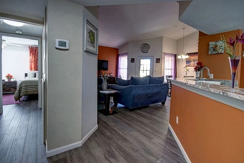Discover The Avalon Royal Paradise - Your Retreat Near Clearwater Beach! in Clearwater, Florida, United States — photo 4