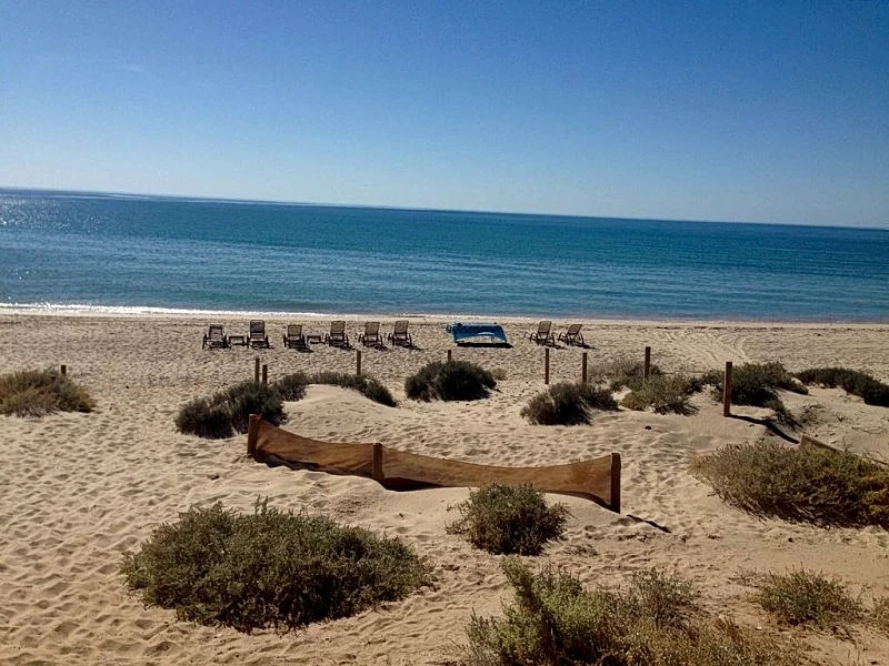Beachfront Property! Nicest Beach In Penasco 6 Br, 4 Bath, 20ft Dome Ceilings in Puerto Penasco, Sonora, Mexico — photo 3