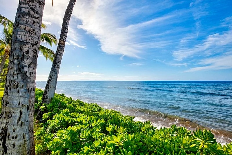 20% Discount off the nightly rate on days of construction only. in Maui County, Hawaii, United States — photo 2