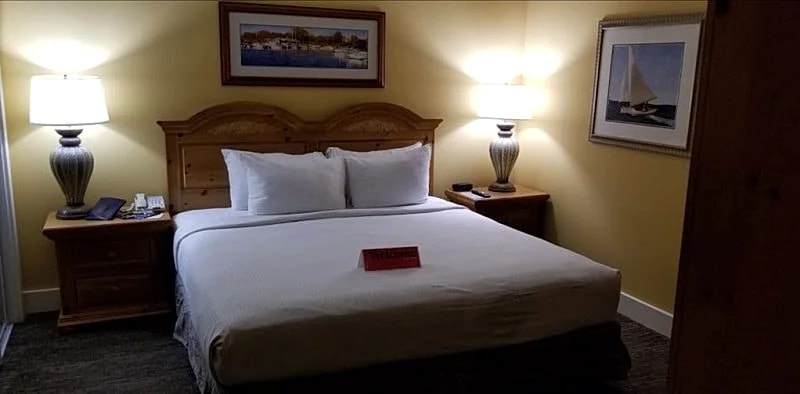 One of the Largest 1BR Units in Virginia Beach with Great Pools! in Virginia Beach, Virginia, United States — photo 4