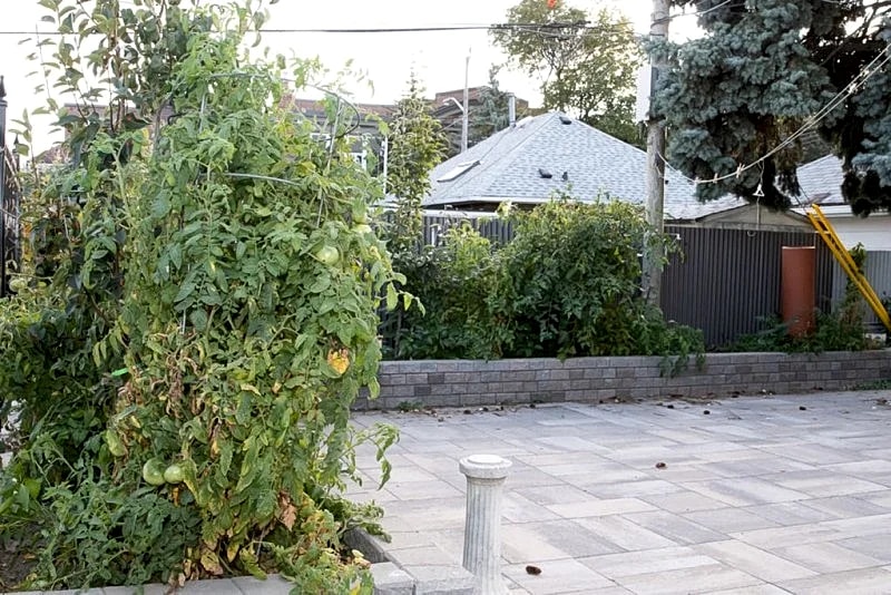 Sunnetts homes and vacations ( Three Bedrom Duplex) in Toronto, Ontario, Canada — photo 3