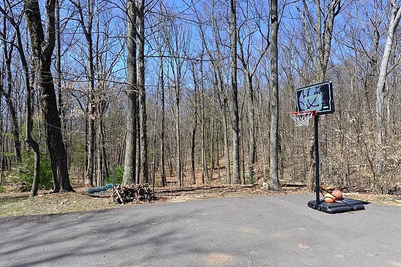 5 Bd Home, Totally Privacy, 10 acre, Secluded, Pool, Sauna Hot Tub in Pocono Mountain, Pennsylvania, United States — photo 4