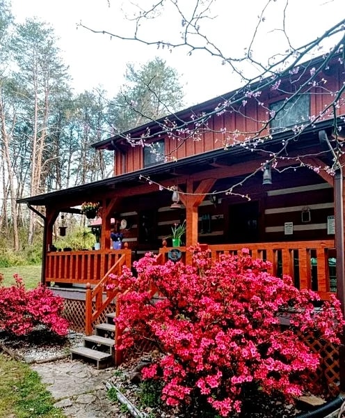 Cozy Country Cabin New: Hot Tub & Outdoor in Kodak, Tennessee, United States — photo 4
