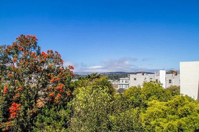3BR/2BA central Cole Valley condo 1500 sf in San Francisco, California, United States — photo 4