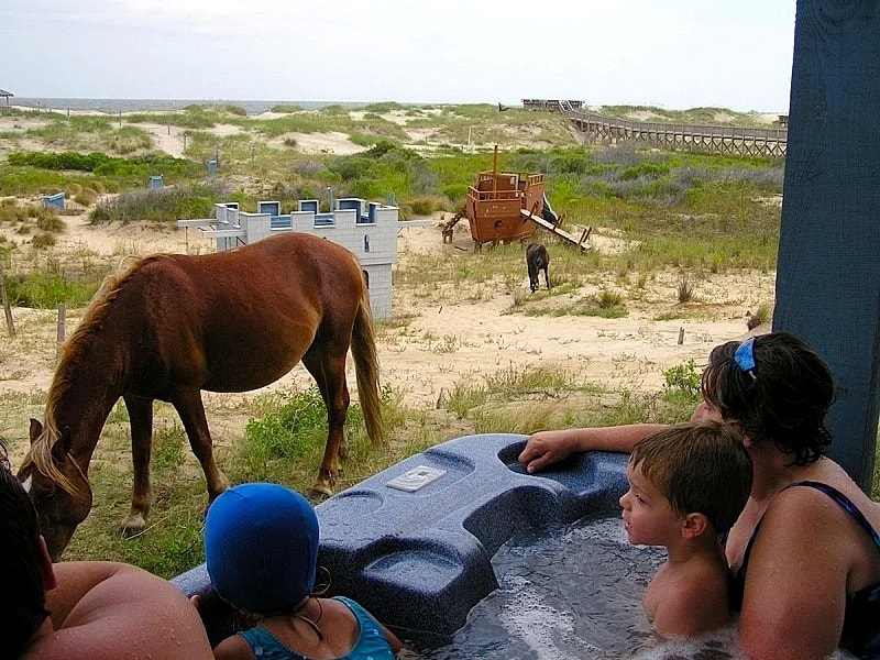 Majestic Oceanfront Estate w/ pool, hot tub, theater, elevator: Sunnybank-NC.com in Corolla, North Carolina, United States — photo 3