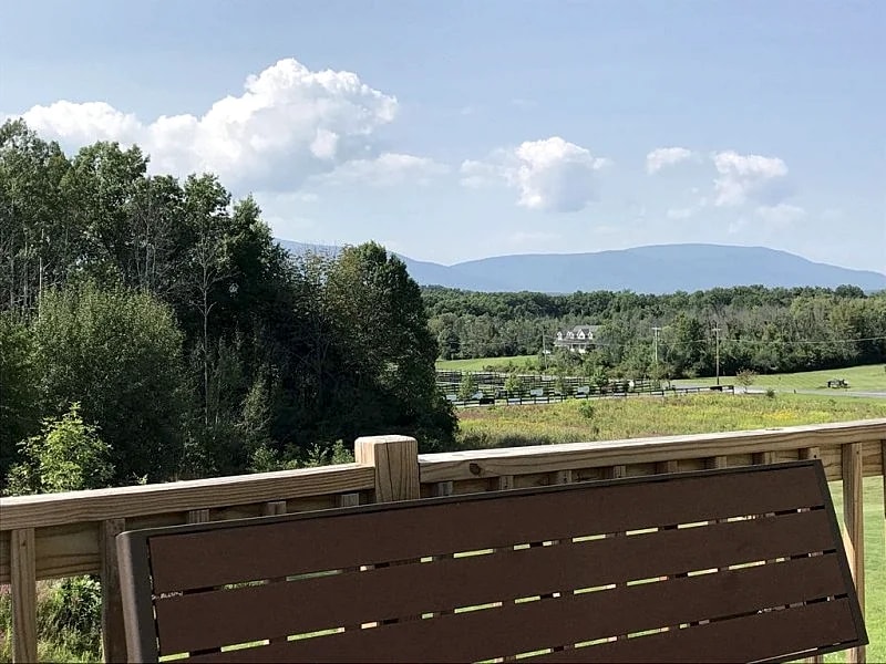 Next to Horse Shows; Catskill Mountain Views; Village of Saugerties, Family Fun in Saugerties, New York, United States — photo 3