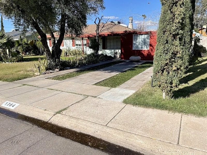 Unique urban habitat near ASU/downtown Tempe in Tempe, Arizona, United States — photo 2
