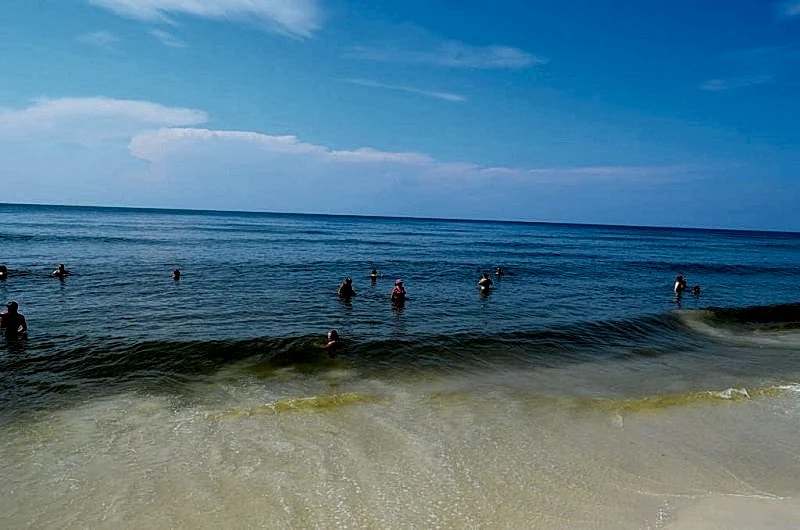 Tranquil, Cozy, and Convenient; 1st floor Beach Condo @ Perdido Key in Pensacola, Florida, United States — photo 4