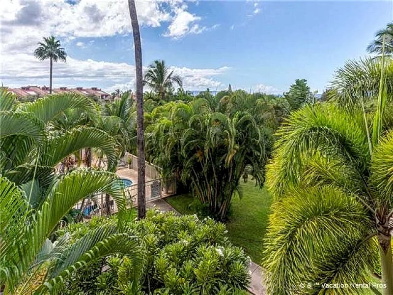 Maui Banyan T-301 - Modern and Completely Renovated Top-Rated Two-Bedroom Condo in Kihei, Hawaii, United States — photo 3
