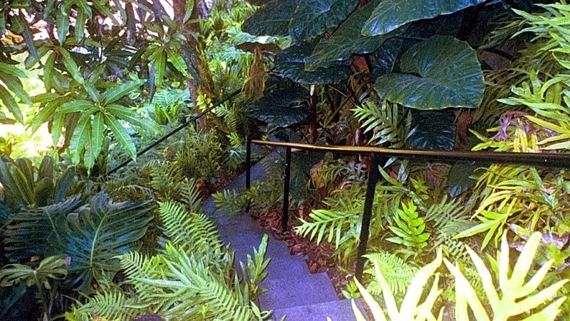 Luxury Waterfall Oasis: The Falls at Reed's Island in Hilo, Hawaii, United States — photo 5