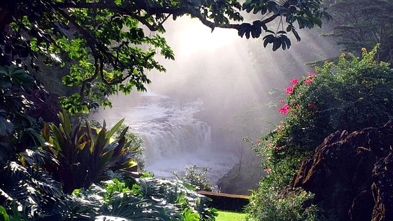 Luxury Waterfall Oasis: The Falls at Reed's Island in Hilo, Hawaii, United States — photo 4