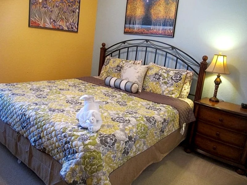 Disney re-open soon—Windsor Hill Luxury pool house in Kissimmee, Florida, United States — photo 4