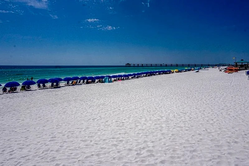 August 9 - 15 SPECIAL in Fort Walton Beach, Florida, United States — photo 4