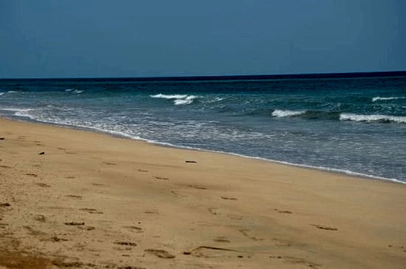 Beach Front Condo at Playas del Yunque in Playas Del Yunque, Rio Grande, Puerto Rico — photo 3