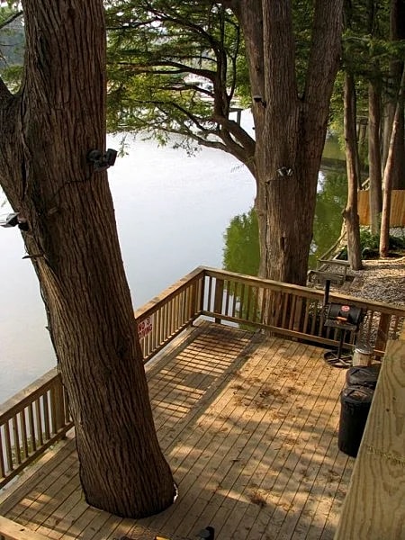 RioRatonDuplex on the primo tubing section of Guadalupe in New Braunfels, Texas, United States — photo 4