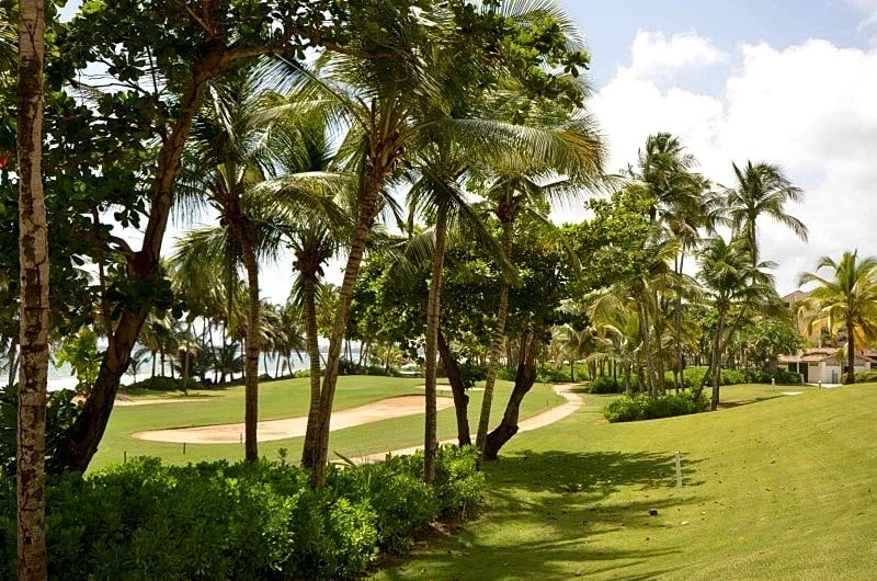 Ocean Sixteen Beach Front Condo at Rio Mar Beach Resort in Boulevard Rio Mar, Rio Grande, Puerto Rico — photo 3