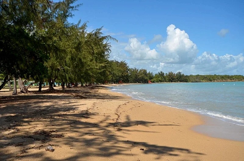 Spectacular Beachfront Villa at Seven Seas in Fajardo, P.R in Fajardo, Puerto Rico — photo 5