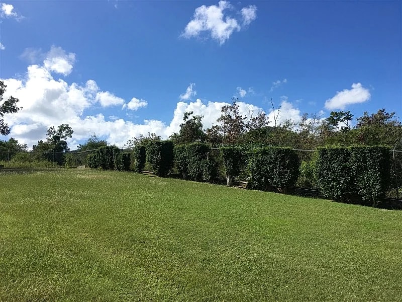 Casona Martineau at Vieques in Vieques, Puerto Rico — photo 3