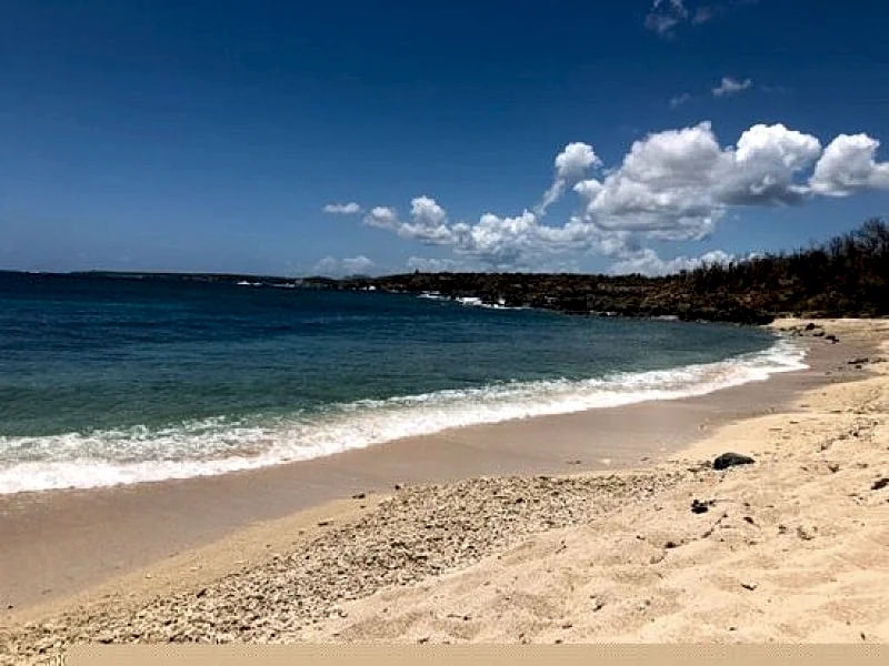 Casona Martineau at Vieques in Vieques, Puerto Rico — photo 5