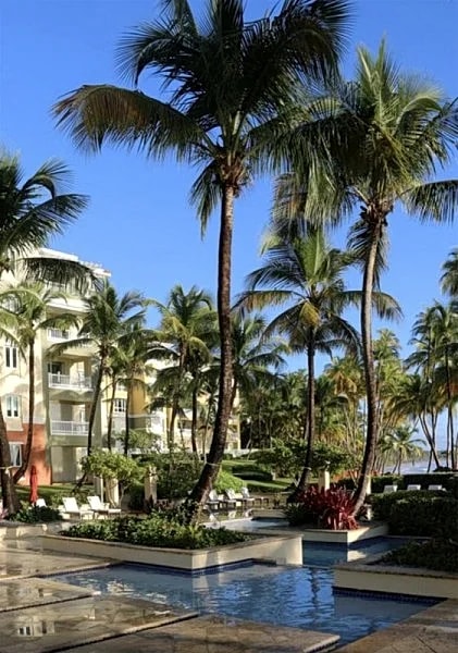 Luxurious 3 Bedroom Condo at Marbella Club Palmas Del Mar in Palmas Del Mar, Humacao, Puerto Rico — photo 4