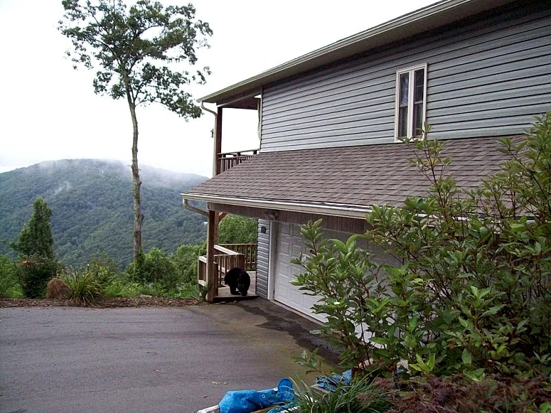 Rustic Cabin, Appalachian Elegance, Rural But Close in Asheville, North Carolina, United States — photo 2