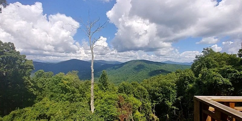 Rustic Cabin, Appalachian Elegance, Rural But Close in Asheville, North Carolina, United States — photo 5