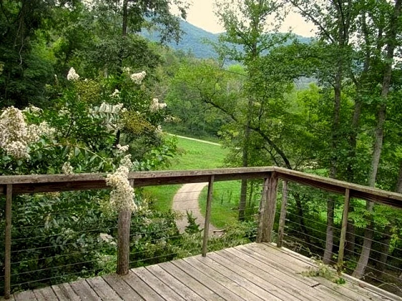 Wild Mountain Air ~ Rejuvenate~nearby Hiking, Asheville, Hotsprings in Weaverville, North Carolina, United States — photo 3