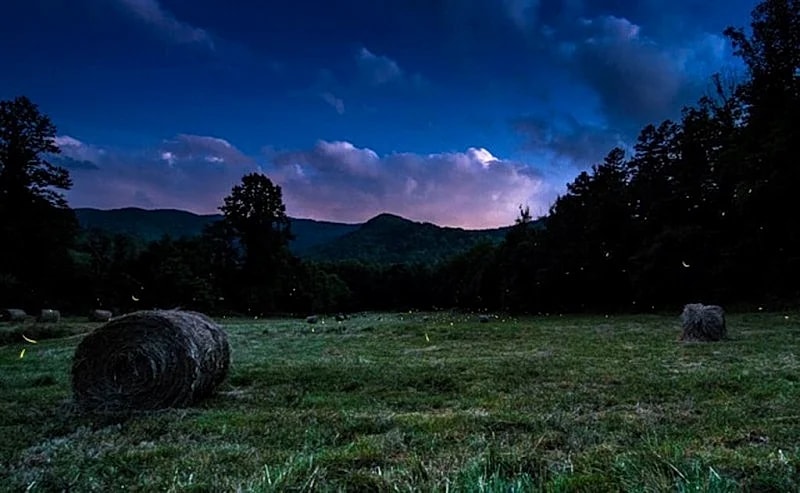 Wild Mountain Air ~ Rejuvenate~nearby Hiking, Asheville, Hotsprings in Weaverville, North Carolina, United States — photo 4