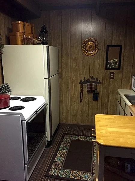 Cozy Mountainside Cabin 3400' Near Asheville NC in Canton, North Carolina, United States — photo 3