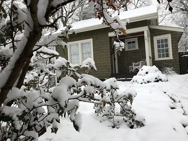 Corner Cottage, A Cozy and Private Retreat Near Downtown in Asheville, North Carolina, United States — photo 1