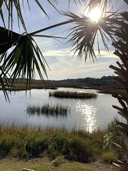 Heron Marsh Villa 112 - Golf cart included in Pawleys Island, South Carolina, United States — photo 2
