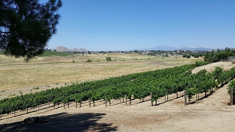 PRIVATE 2 BR, 2 BA GUESTHOUSE with Pool - WALK TO WINERIES. in Temecula, California, United States — photo 5