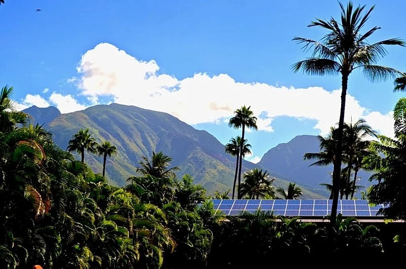 LOCATION, VACATION, LOCATION in Lahaina, Hawaii, United States — photo 4