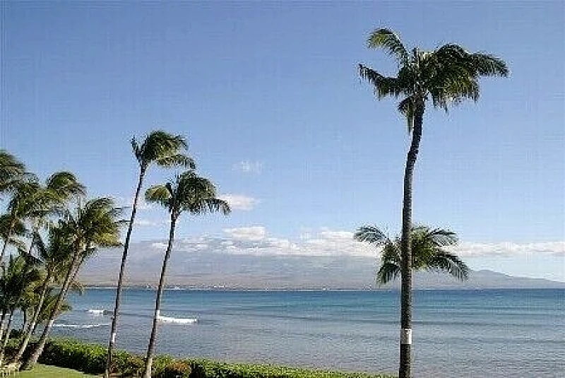 Quiet condo on the Ocean in Maui County, Hawaii, United States — photo 5