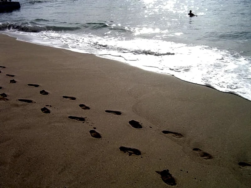 Must SEA! 70 steps to the sand! in San Diego, California, United States — photo 5