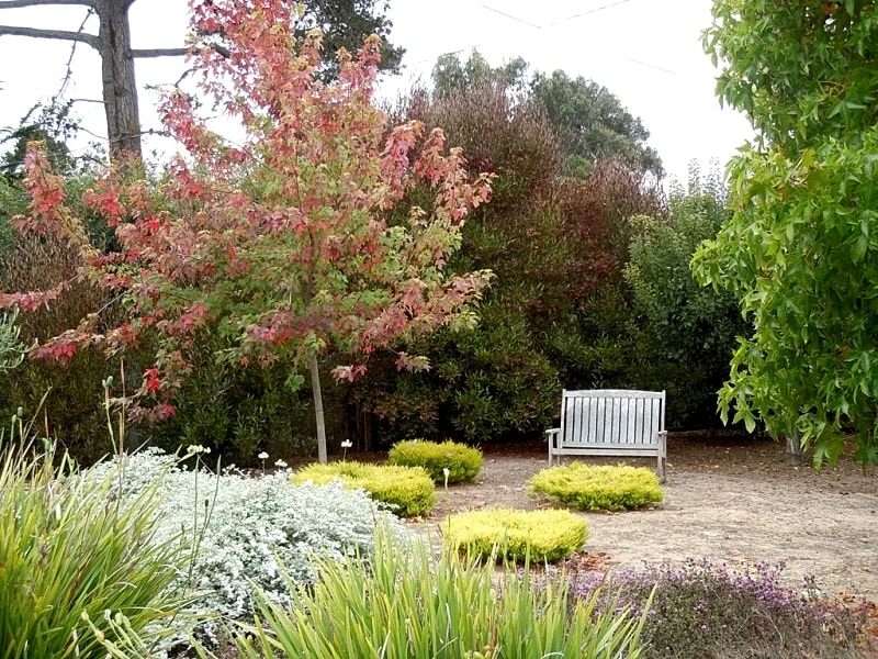 Monterey Peninsula Area Seaside Guest House in Monterey, California, United States — photo 4