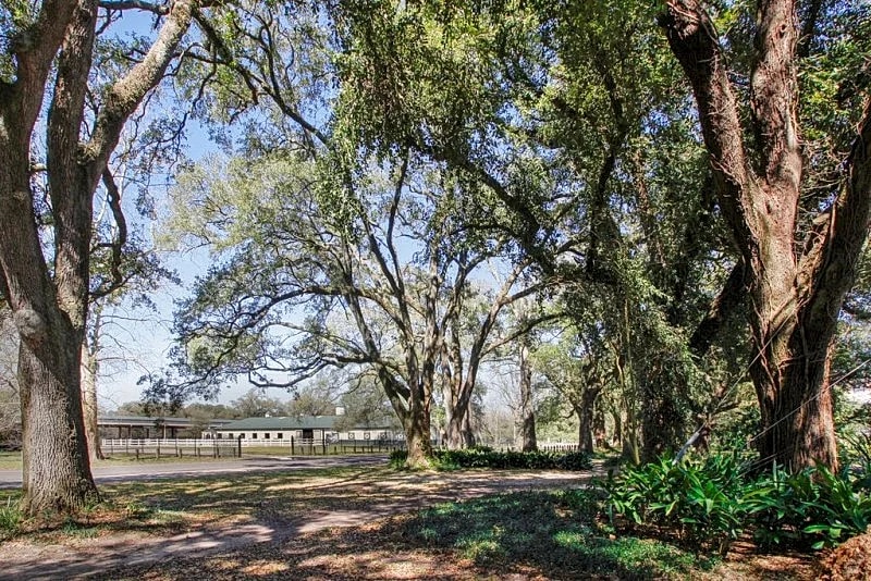 Charming New Orleans Cottage Steps from Audubon Park and Magazine St in New Orleans, Louisiana, United States — photo 3