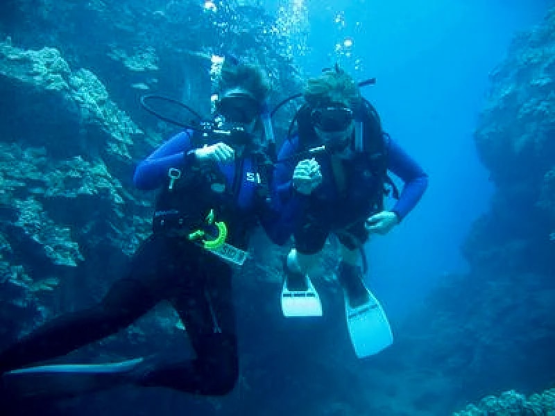 FREE SCUBA & SNORKEL TOURS at a tranquil hideaway cottage in So Kona in Captain Cook, Hawaii, United States — photo 3
