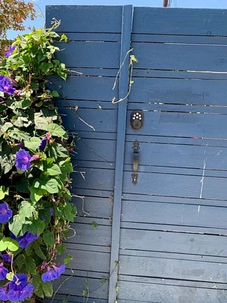 Bohemian Cottage, minutes from the Beach! in Santa Monica, California, United States — photo 5