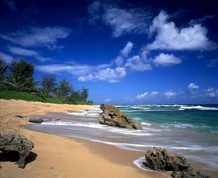 Spacious 4 BR/3.5 BA Tropical Home. Mtn View! in Princeville, Hawaii, United States — photo 2