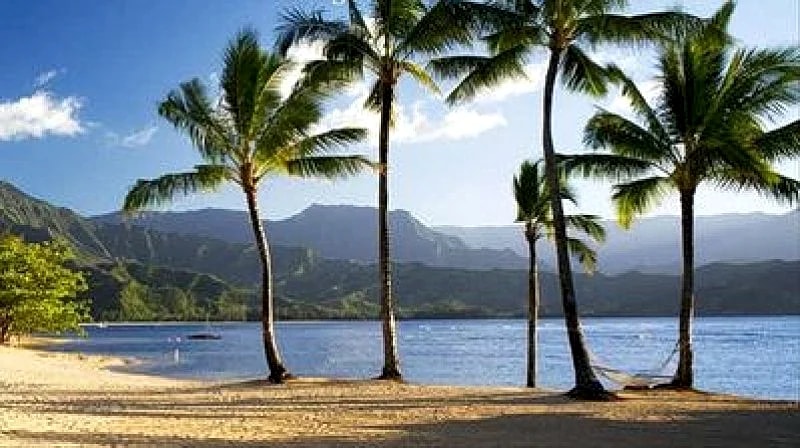 Spacious 4 BR/3.5 BA Tropical Home. Mtn View! in Princeville, Hawaii, United States — photo 4