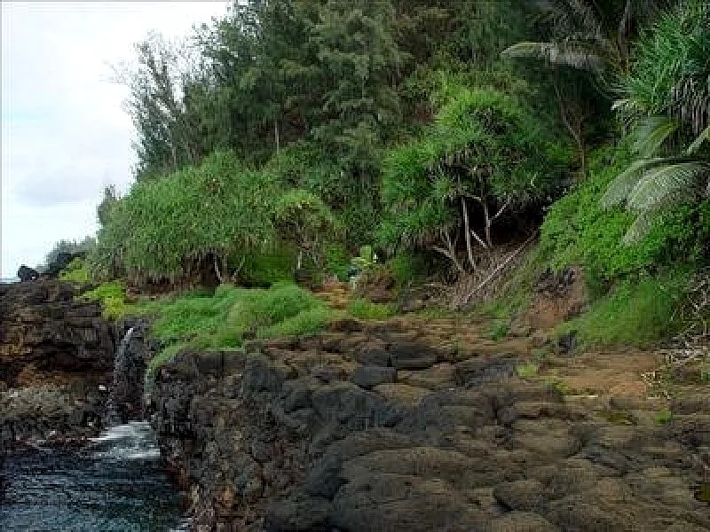 Spacious 4 BR/3.5 BA Tropical Home. Mtn View! in Princeville, Hawaii, United States — photo 5