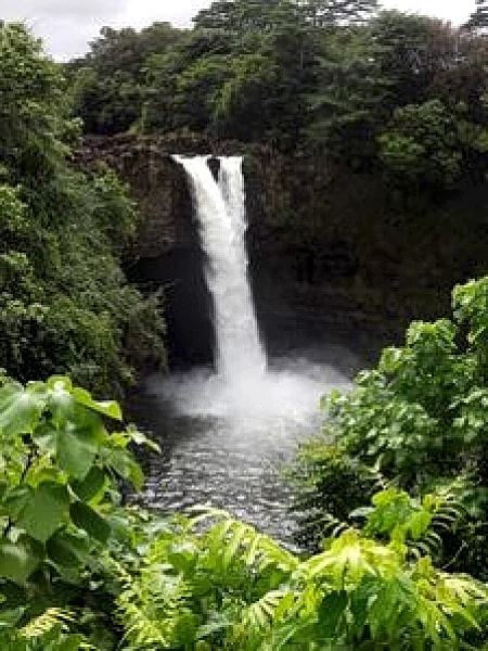 A/C ENTIRE HOME** RELAX in the BEAUTIFUL COQUI COTTAGE TROPICAL GARDEN RETREAT in Keaau, Hawaii, United States — photo 5
