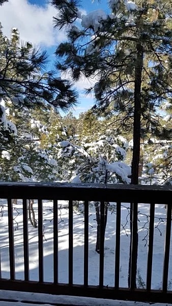 4 BR House at Mogollon Airpark in Heber-overgaard, Arizona, United States — photo 4